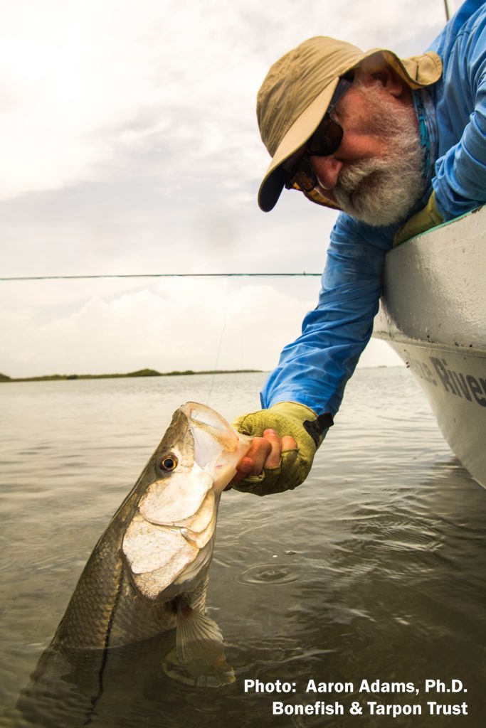 Flyfishing for Snook