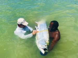 John, one of Belize's best fly fishing guides, helps Dr. Mike measure this large tarpon while fishing from the historic fishing lodge - Belize River Lodge