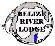 belize river tour