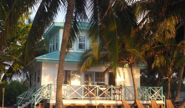 house on beach with palm trees and beach chairs in front