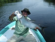 Tarpon