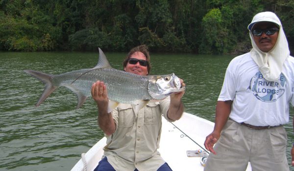 Tarpon