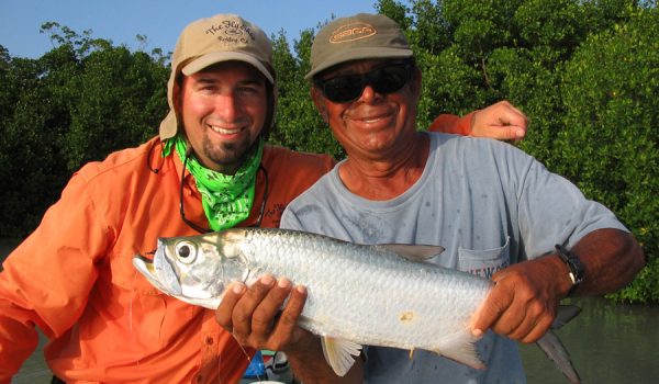 Tarpon