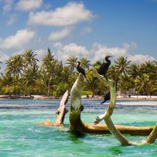 Looking into Long Caye. Photo: M. Nowak