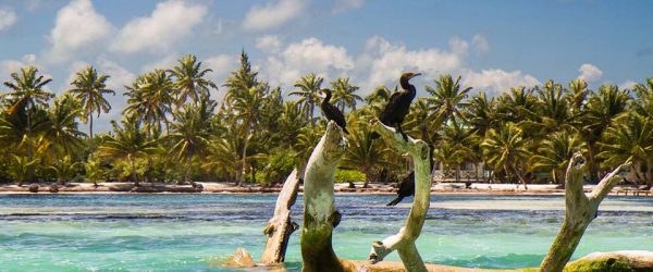 Looking into Long Caye. Photo: M. Nowak