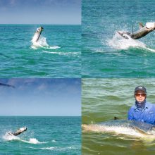 Mike's Tarpon