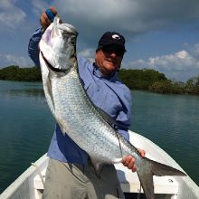 Tarpon