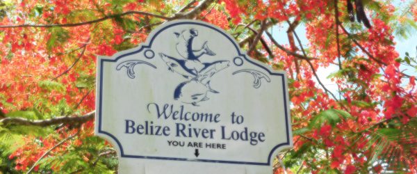 Welcome Sign