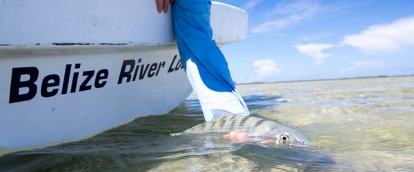 Flyfishing Bonefish