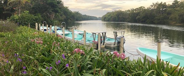 Belize River Lodge's view of the Belize Olde River