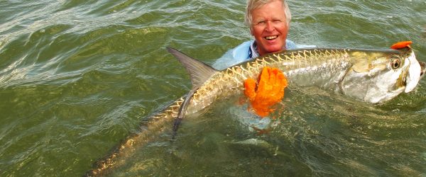 Large Tarpon