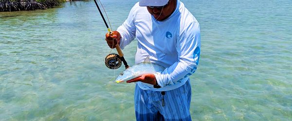 Fly fishing Bonefish