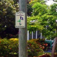 Beware Crocodiles - No Swimming