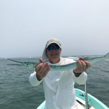 and more - Needlefish