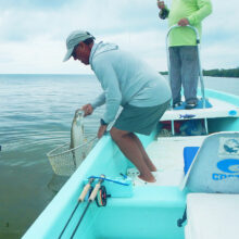 small Tarpon