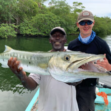 Barracuda