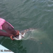 Fishing_10b
