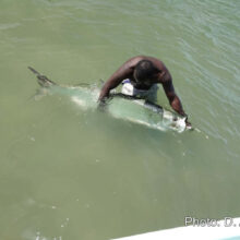 Fishing_28