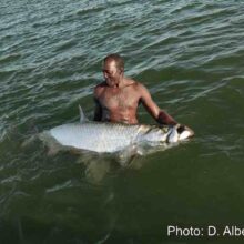 Fishing_33