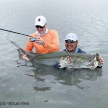 Albemare-Angler_2 and LgTarpon_2