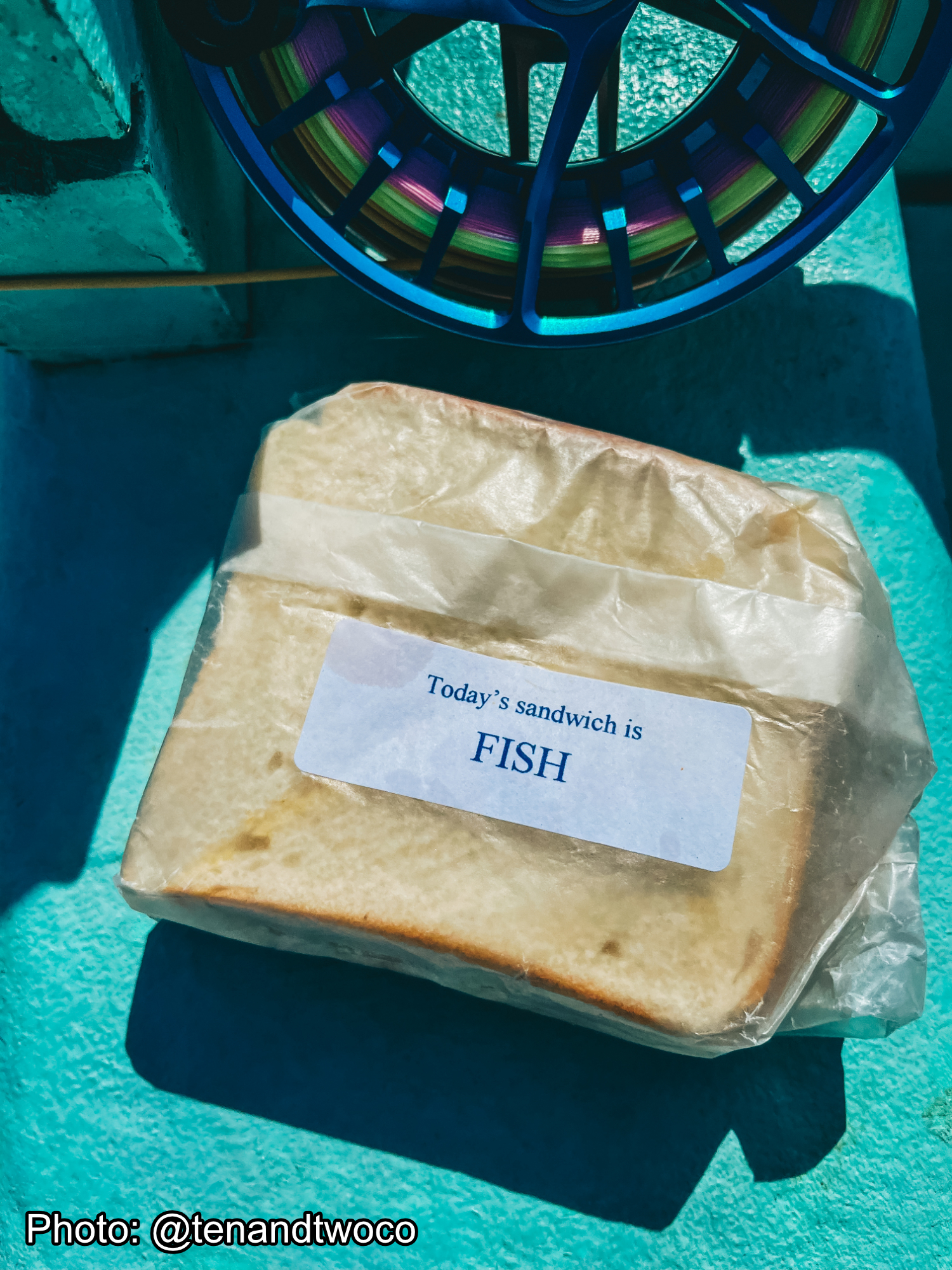 Fish Tales ~ Wrapping up 2022 - Belize River Lodge