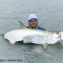 Guide Mike T and Tarpon