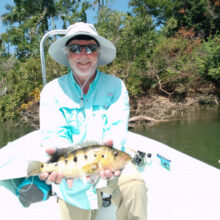 Bay_Snook-Schoeder-Wirman Group