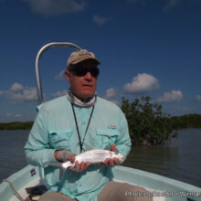 Bonefish_1-Schoeder-Wirman Group