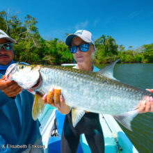 Brun-EriksonTarpon