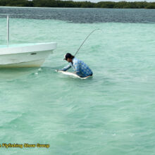 FF_Show_Ben_LgTarpon_3