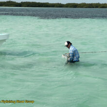 FF_Show_Ben_LgTarpon_4