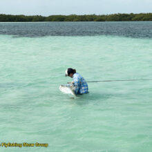 FF_Show_Ben_LgTarpon_5