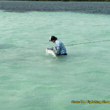 FF_Show_Ben_LgTarpon_6