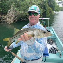 FF_Show_Dave_Snook-1