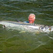 M.Nowak_MigratoryTarpon