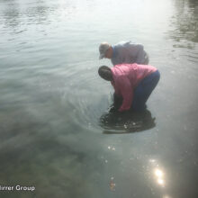 Mirrer_LgTarpon_2