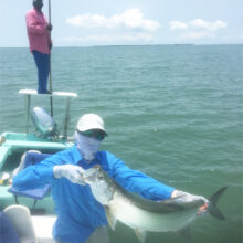 Mirrer_Tarpon_1