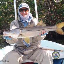 Snook-Popham