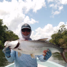 Tarpon2a_Popham