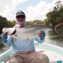 Tarpon2b_Popham.jpg