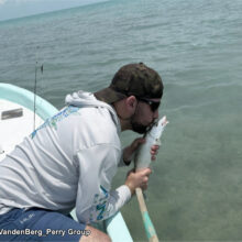 VanderBerg_Bonefish-2