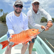 VanderBerg_Snapper