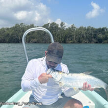 VanderBerg_Tarpon-1