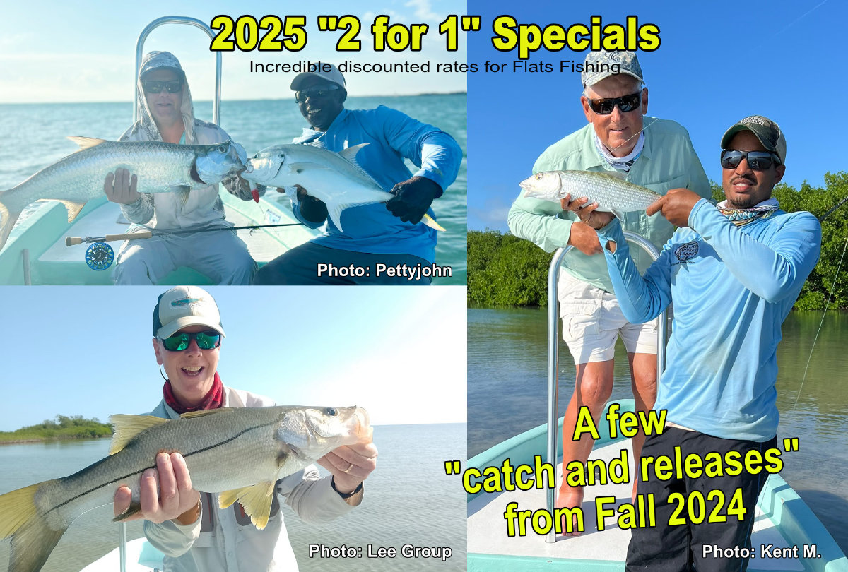 2023_Special_pict
